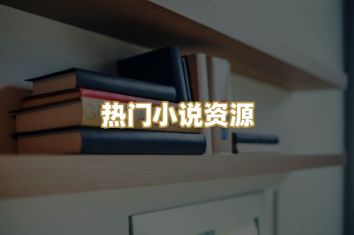 热门小说资源